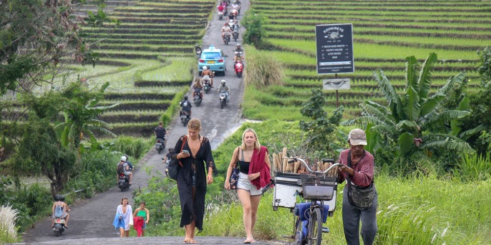Cover Image for The Canggu Cut-Through: Bali's Shortcut to Adventure